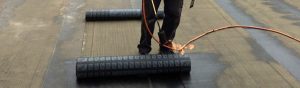 Roofing Services in Molesey